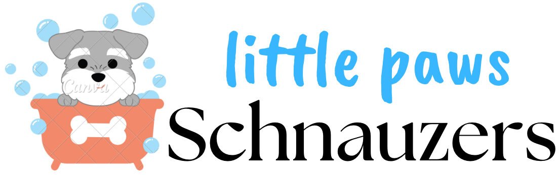 LITTLE PAWS SCHNAUZERS